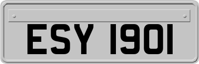 ESY1901
