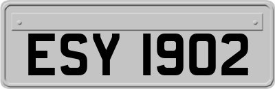 ESY1902
