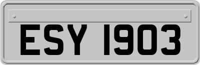 ESY1903