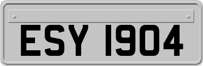 ESY1904