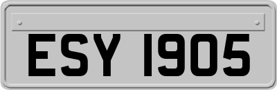 ESY1905