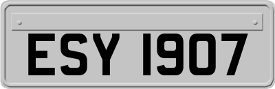ESY1907
