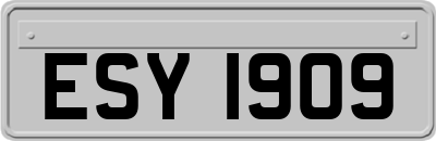 ESY1909