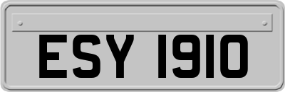 ESY1910