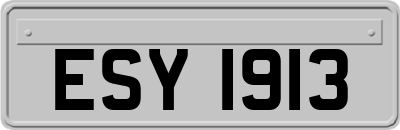 ESY1913