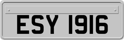 ESY1916