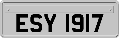 ESY1917