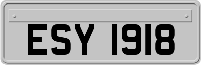 ESY1918