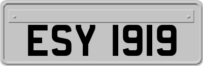 ESY1919