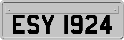 ESY1924