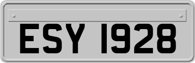 ESY1928