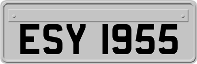 ESY1955