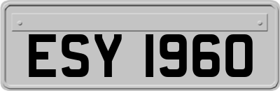 ESY1960