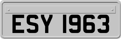 ESY1963