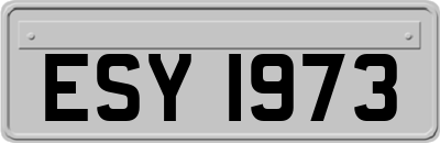 ESY1973