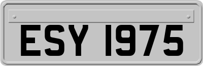 ESY1975
