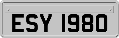 ESY1980