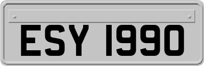 ESY1990