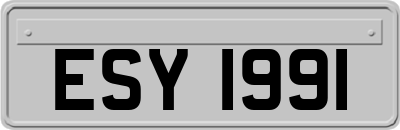ESY1991