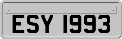 ESY1993