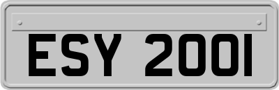 ESY2001