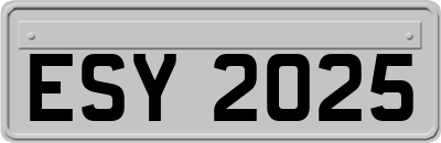ESY2025