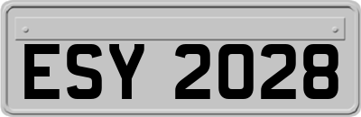 ESY2028