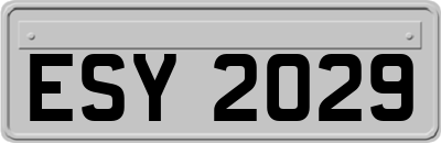 ESY2029