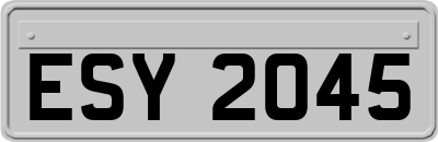 ESY2045