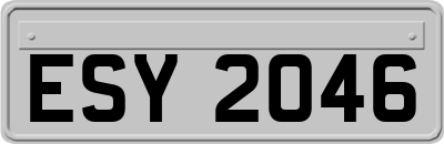 ESY2046
