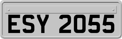 ESY2055
