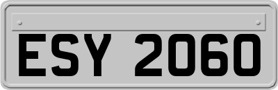 ESY2060