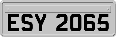 ESY2065