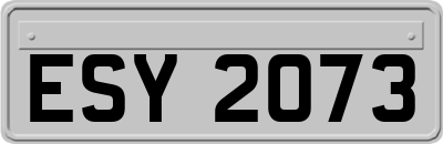 ESY2073