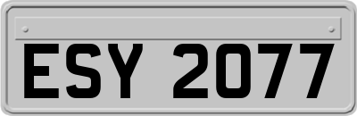 ESY2077