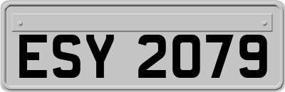 ESY2079