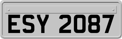 ESY2087
