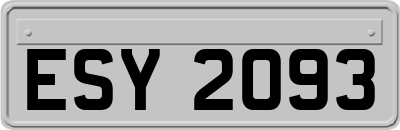 ESY2093