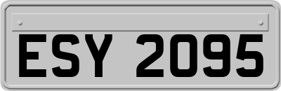 ESY2095