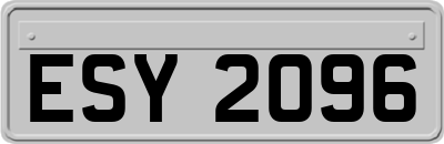 ESY2096