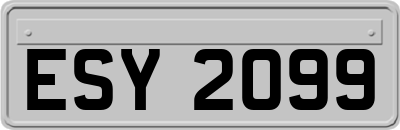 ESY2099