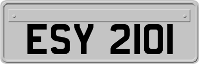 ESY2101