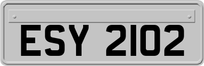 ESY2102