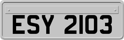 ESY2103