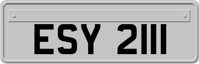 ESY2111