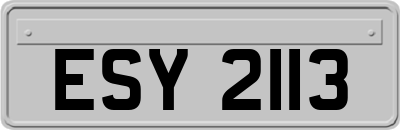 ESY2113