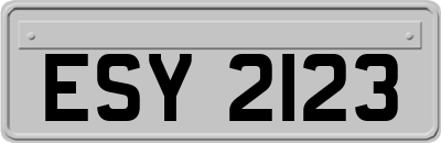 ESY2123