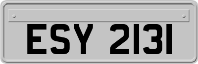ESY2131