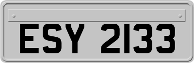 ESY2133
