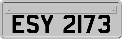 ESY2173